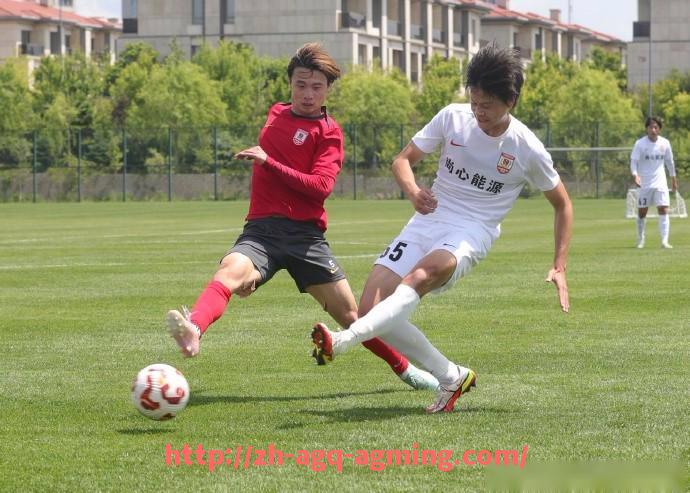 AG娱乐登录-世俱杯比赛违规行为现场应对机制及处罚流程