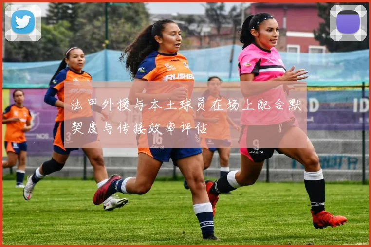 法甲外援与本土球员在场上配合默契度与传接效率评估