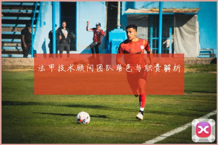 法甲技术顾问团队角色与职责解析